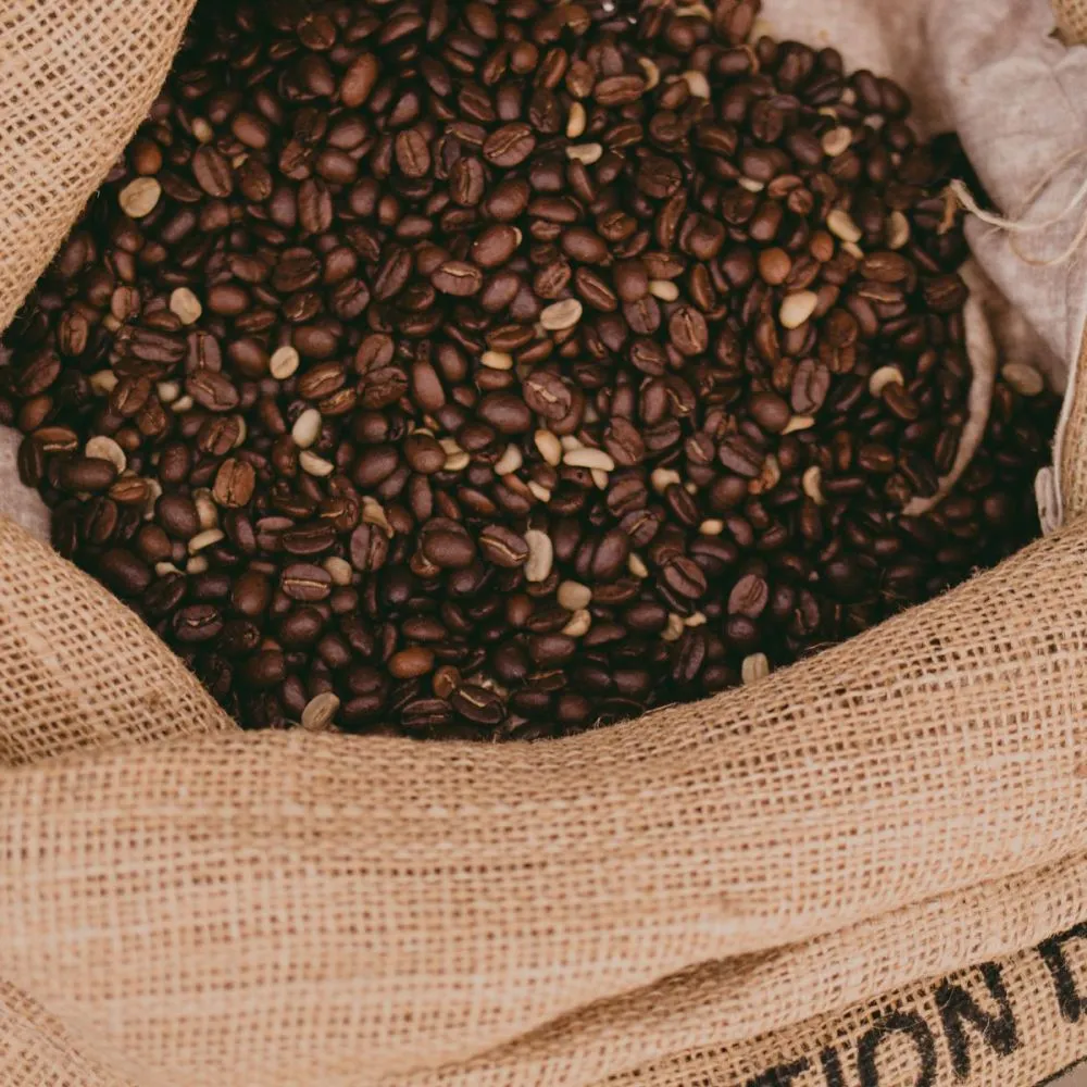 Robusta Pilihan