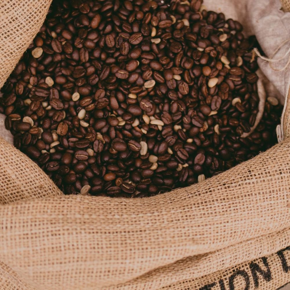 Robusta Pilihan